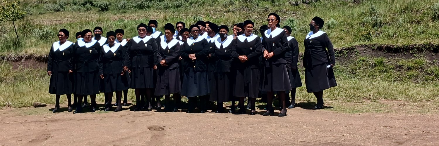 🧡🌺🦋金钱之母 banner