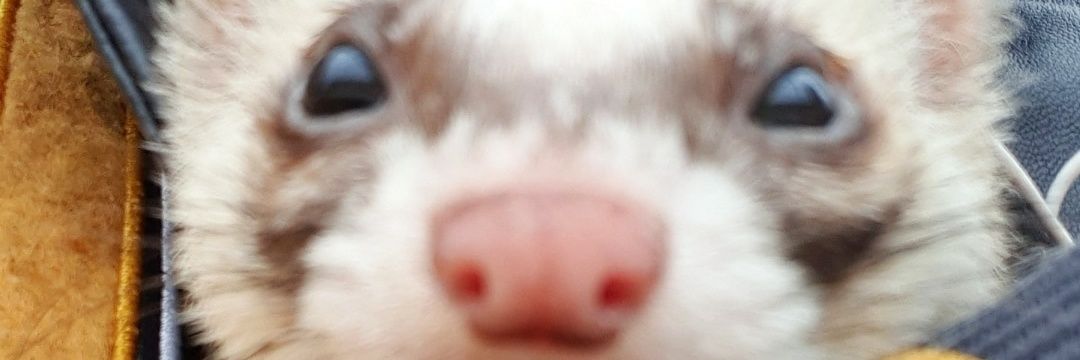 jonathan_048's profile banner image