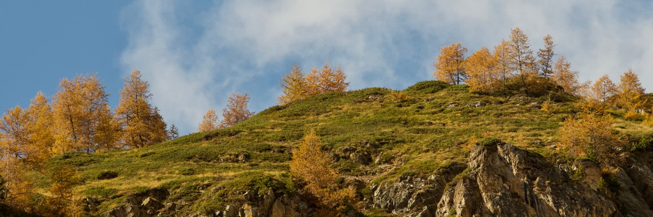 Eric L Chaney banner