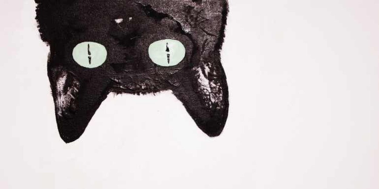 xoxcortney's profile banner image