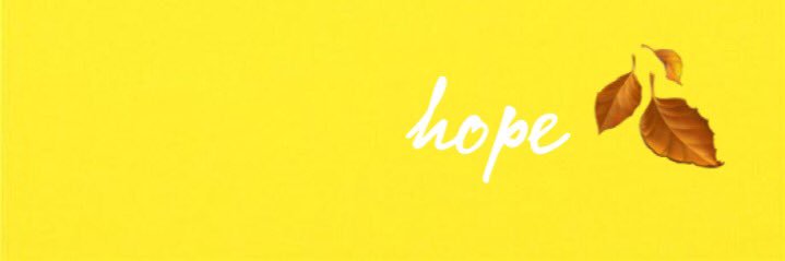 Noyer1991's profile banner image