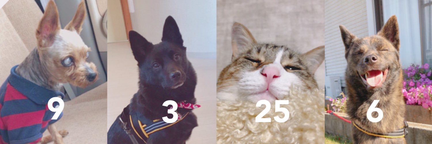 pplemon3's profile banner image