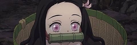backonthewall's profile banner image