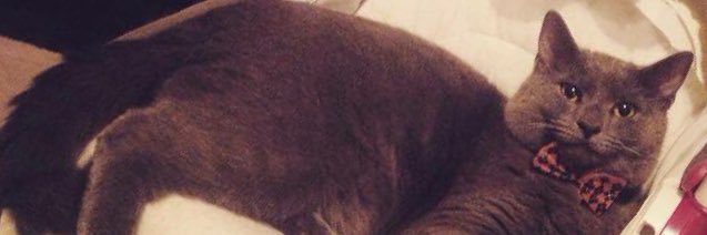 hmwrightt's profile banner image