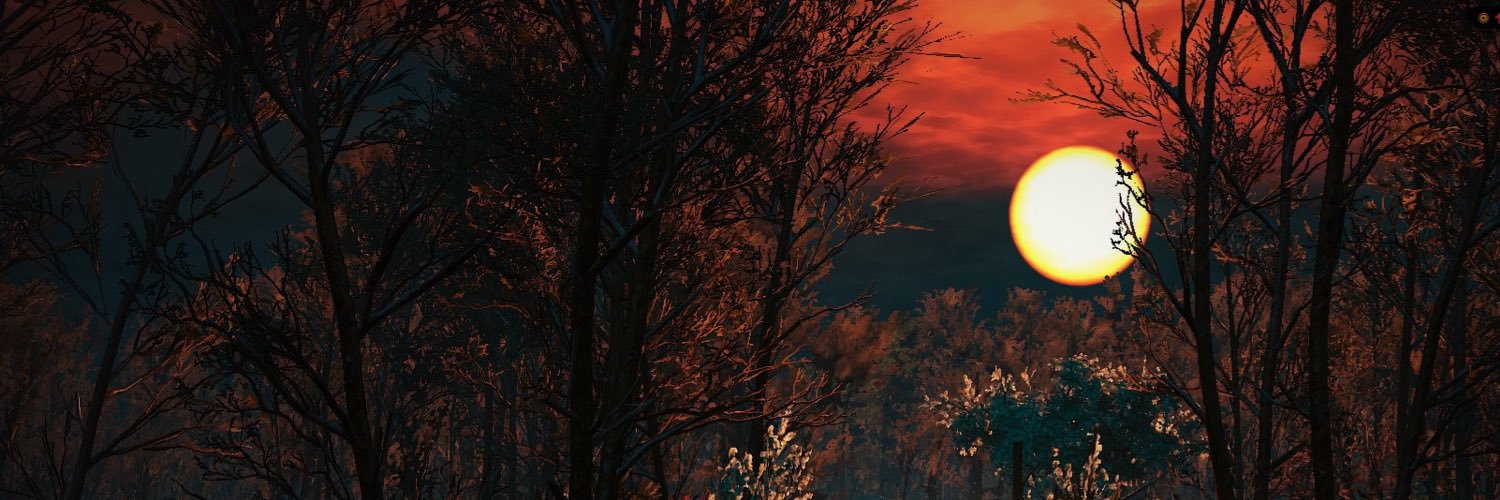 anitablunted's profile banner image