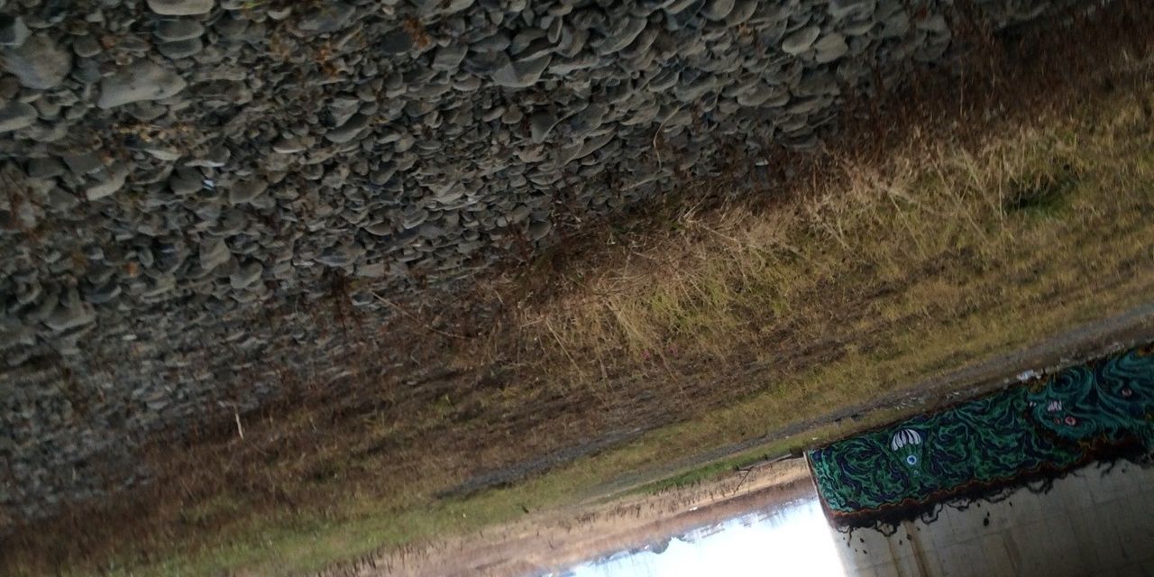 koooooochan726's profile banner image