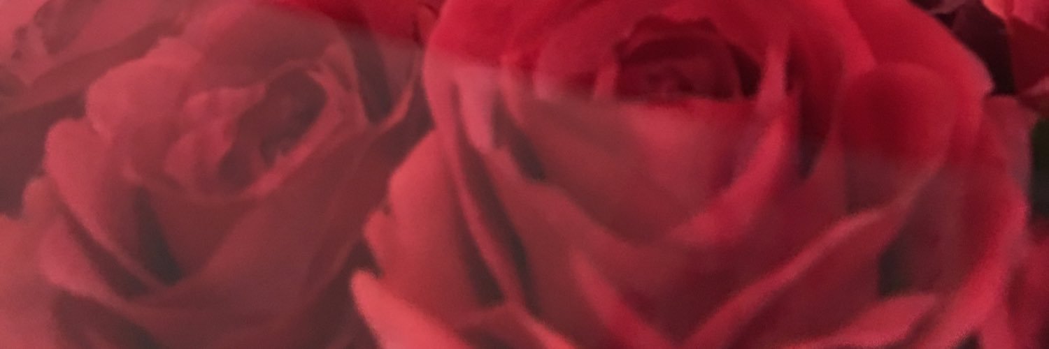 _stellation's profile banner image