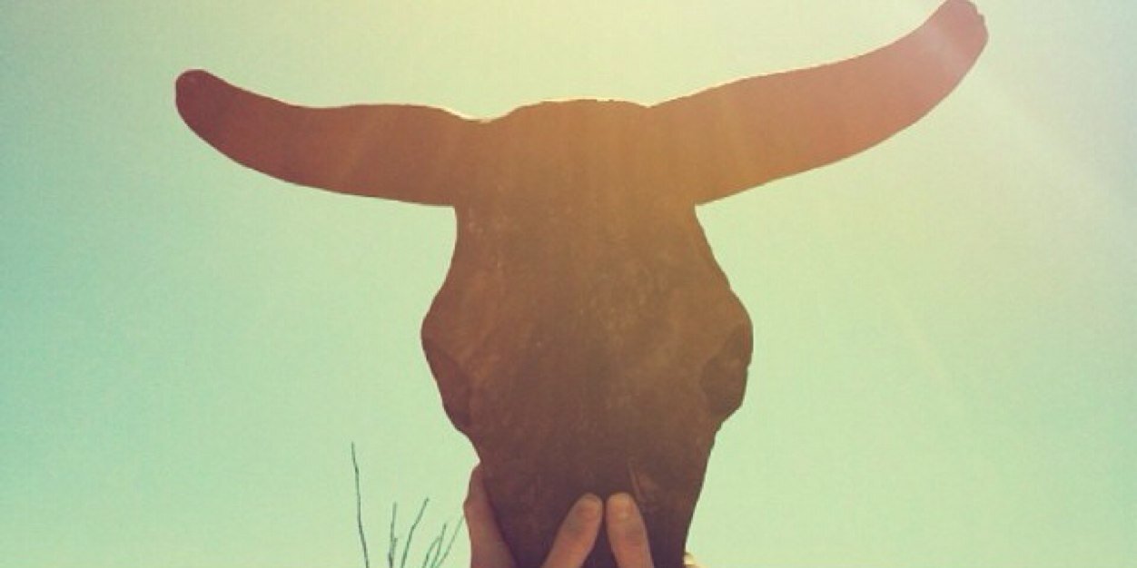 DomiFoster's profile banner image