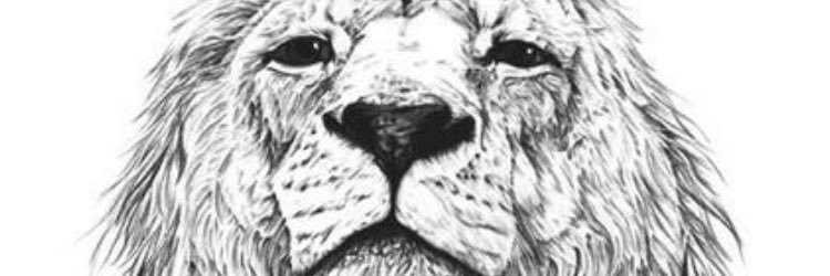 fullnormal's profile banner image