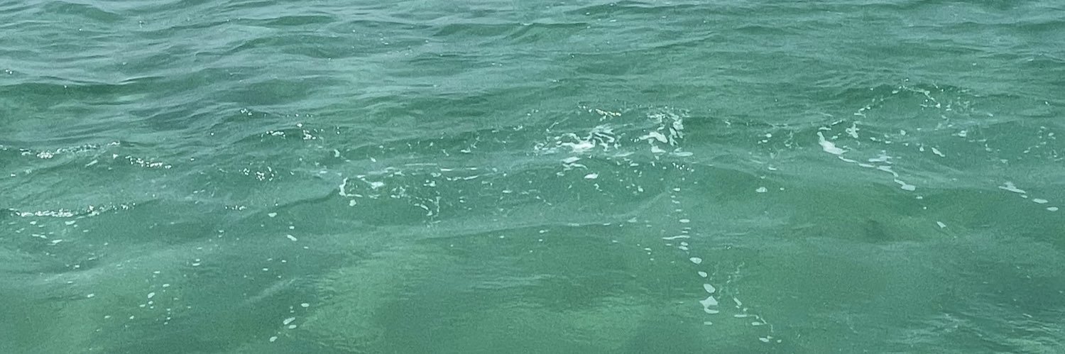 tuqlin's profile banner image