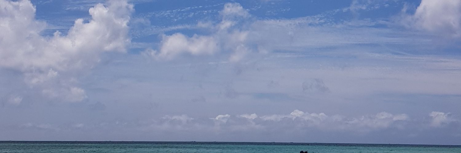 jjin8653's profile banner image