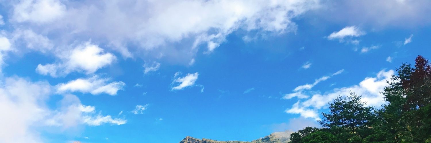 sting0417's profile banner image