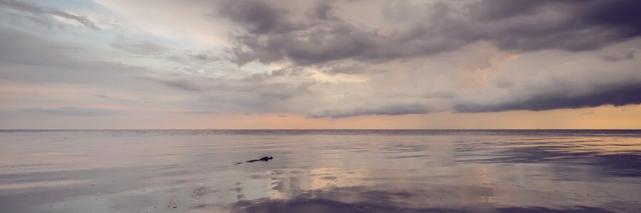 JessBroomPhoto's profile banner image