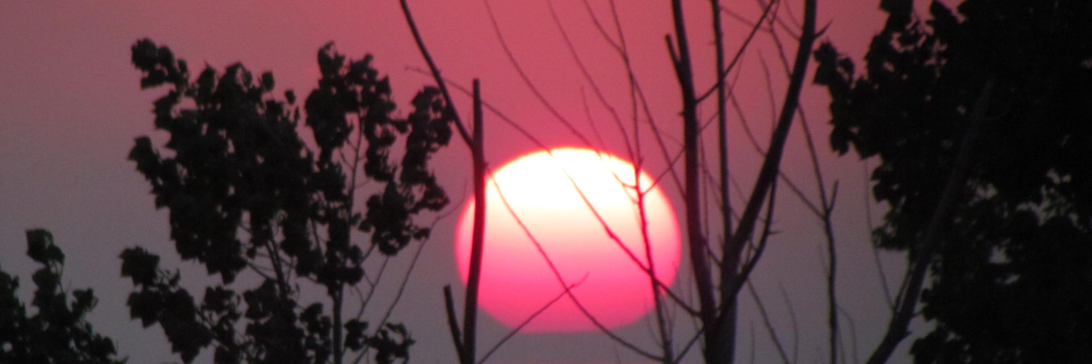 Linda Hamilton banner