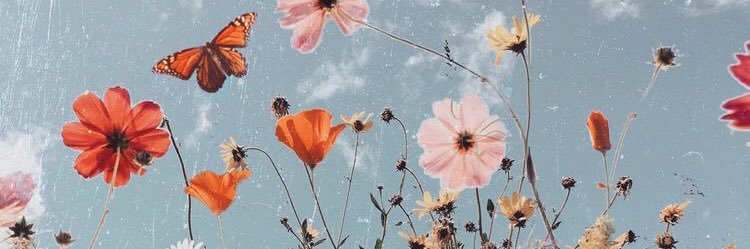 _carolinalira's profile banner image