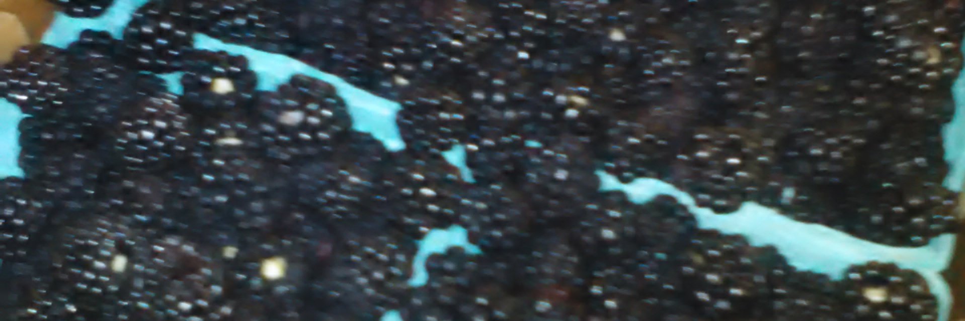 BarbaraAnsley's profile banner image
