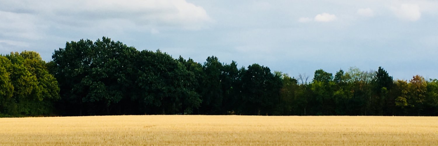 dolorstomas's profile banner image