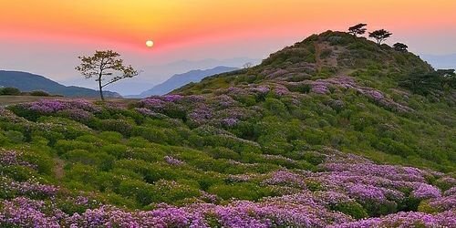 Mayi_BC's profile banner image