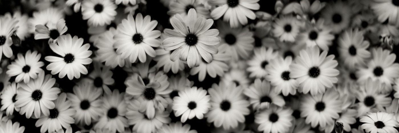 black_sunshinee's profile banner image