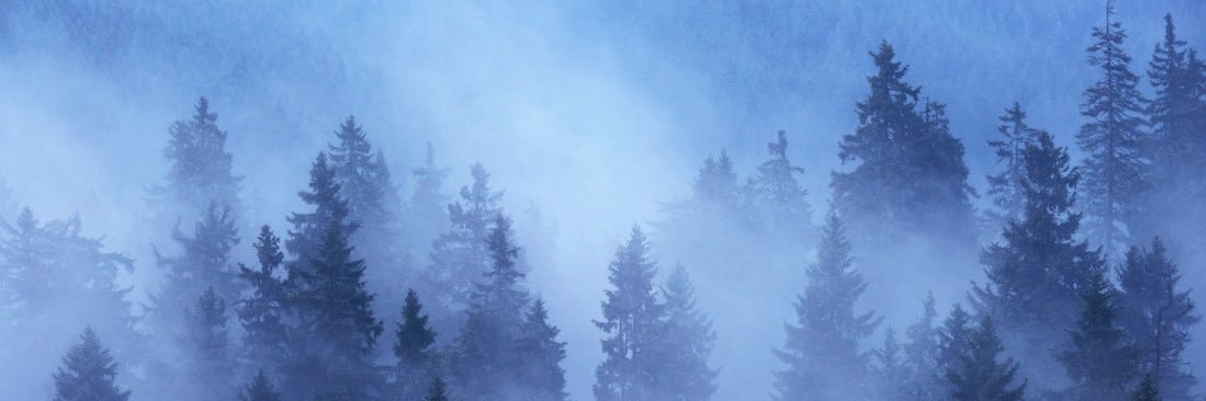 n_ayeh's profile banner image