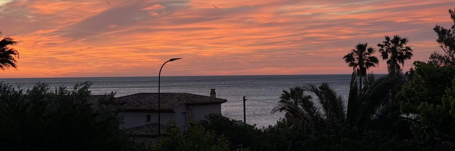 LauraCinieri's profile banner image