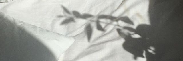 몽(매우느림 ...🐌) banner
