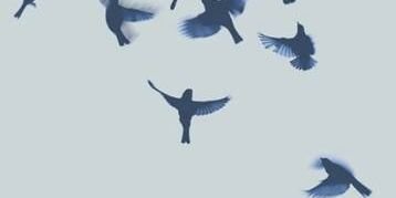demicifuentes's profile banner image