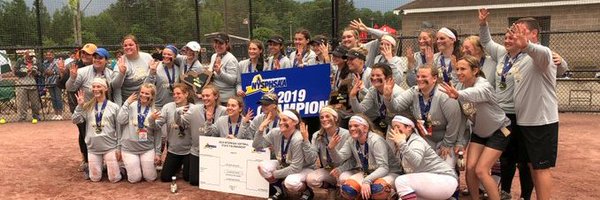sect4softball Profile Banner