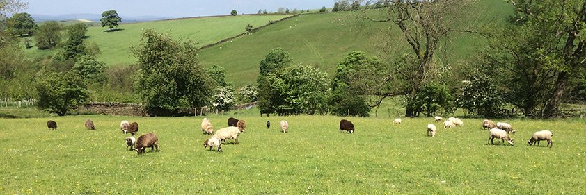 marlfieldfarm's profile banner image