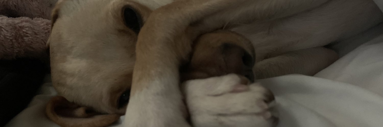 LizzieKay7's profile banner image