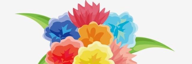 hay2bay's profile banner image
