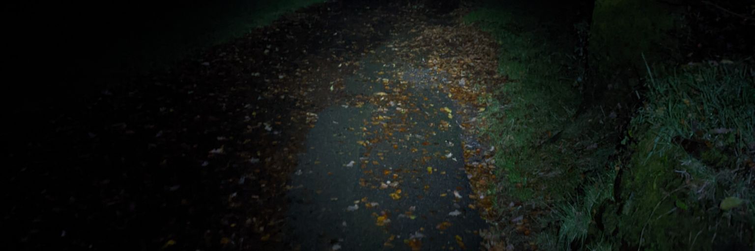 MrS_devon 👨‍🦰 banner