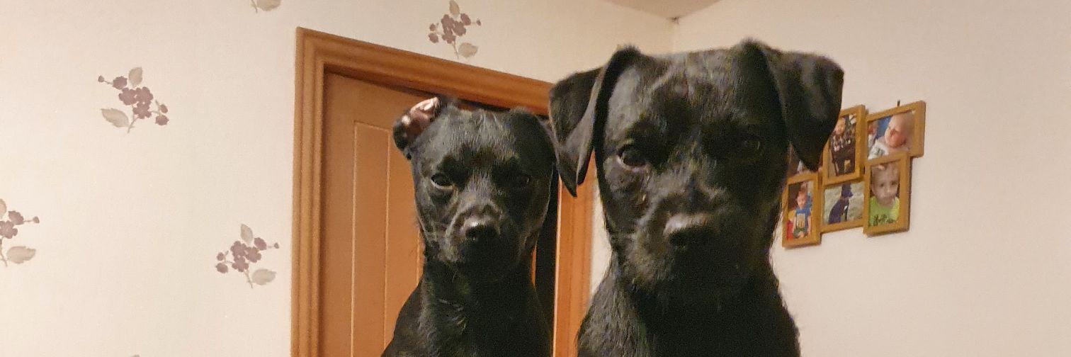 Melinda Hanvey banner