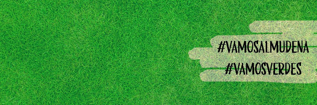 E.D. Almudena banner