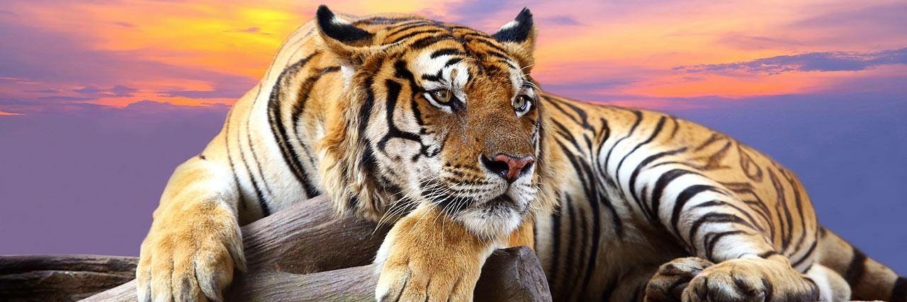 HIbrahimF1's profile banner image