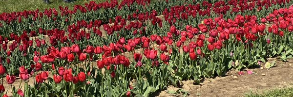 ADkelley_ Profile Banner