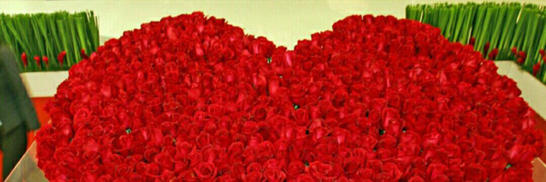 Meme_AlSahli's profile banner image