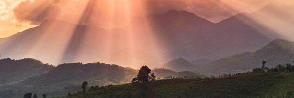 0xElkot Profile Banner