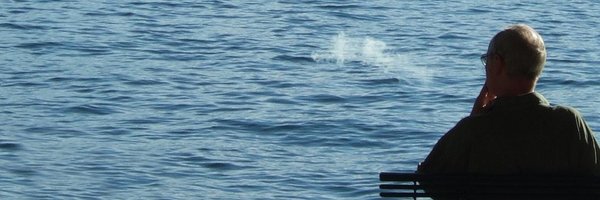 drjaimewaters Profile Banner
