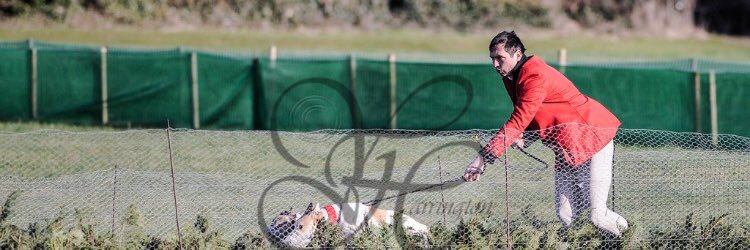 Evens the red banner