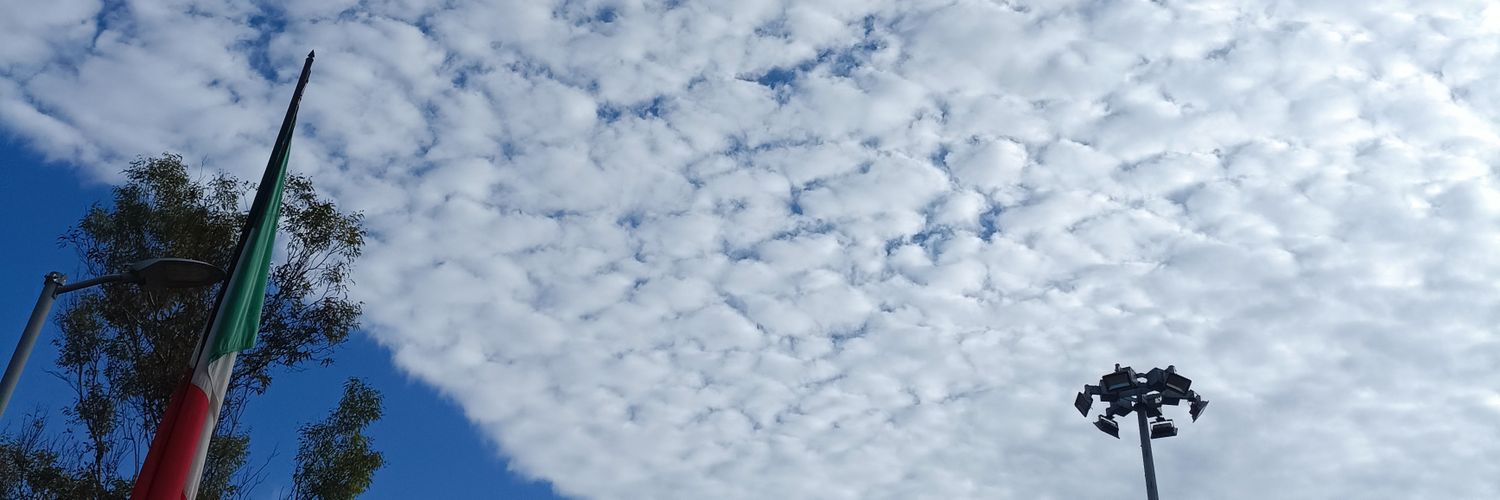 jadeflon's profile banner image