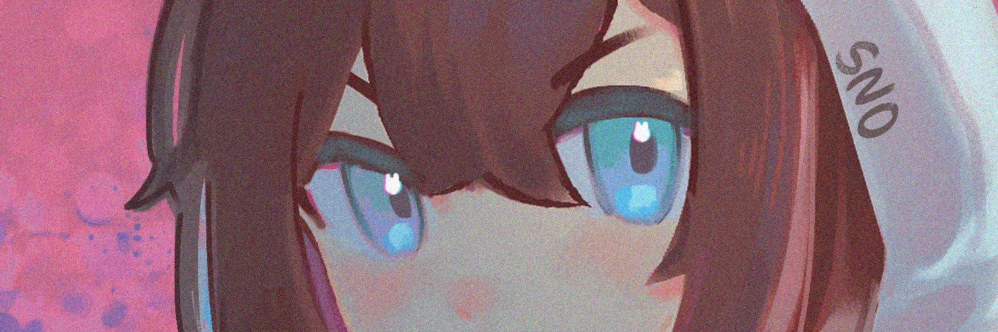 Sno's banner