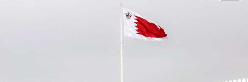 sbusharar13's profile banner image