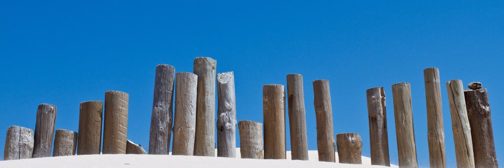 ndantas's profile banner image