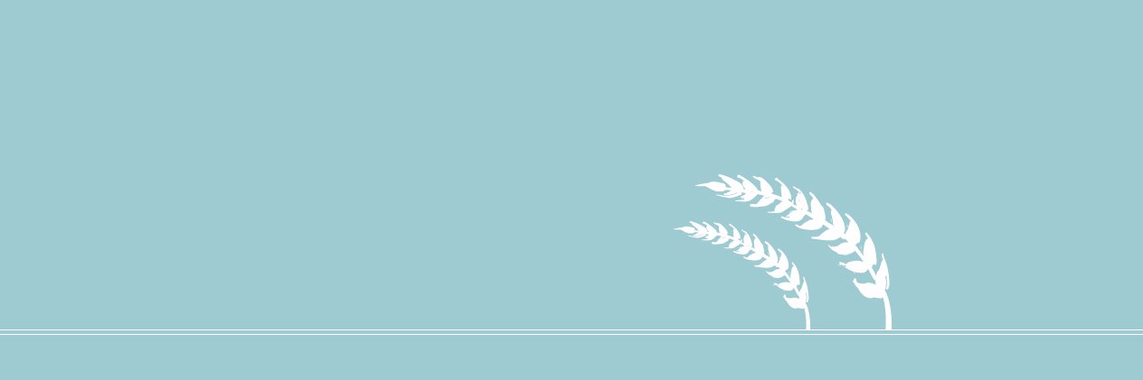MidwestGirlBoss's profile banner image