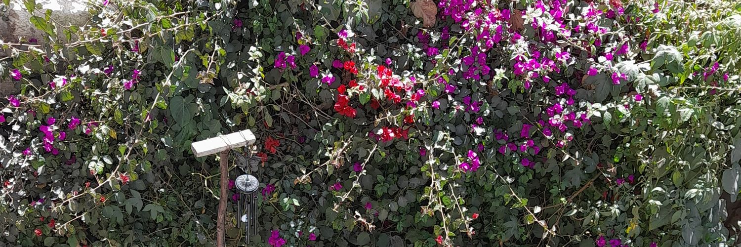 TAPAYCITO's profile banner image
