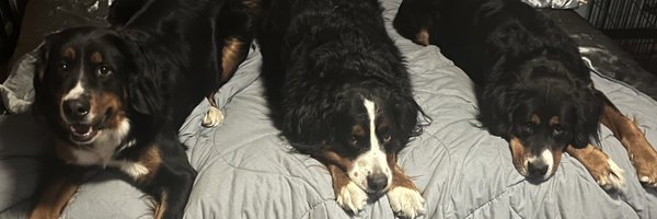 BlueJayontheRox Profile Banner