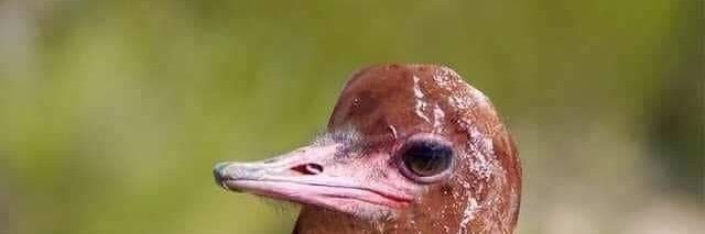 SpiderRetro2000 #ReleaseTheSchumacherCut banner