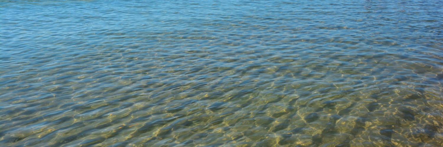 FernandoScoppa's profile banner image