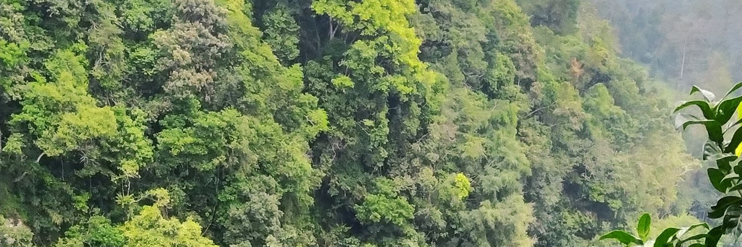 _mydeeptalk's profile banner image